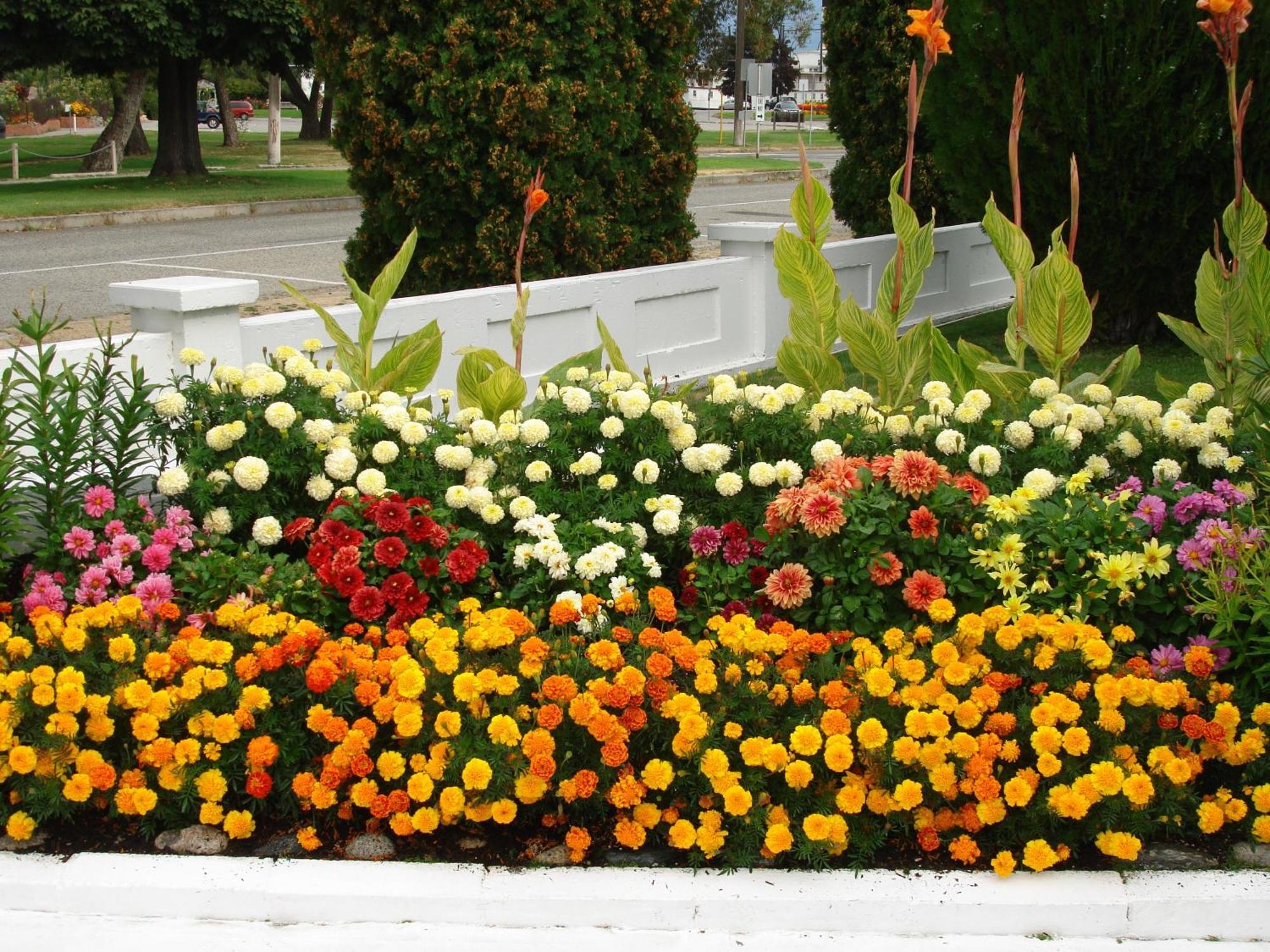 Riverside Motel Penticton Ngoại thất bức ảnh